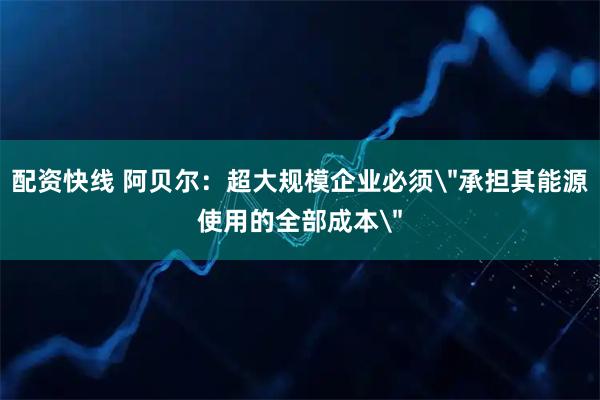 配资快线 阿贝尔：超大规模企业必须＂承担其能源使用的全部成本＂