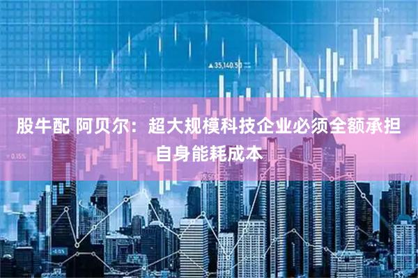 股牛配 阿贝尔：超大规模科技企业必须全额承担自身能耗成本