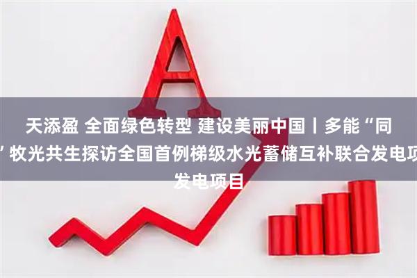 天添盈 全面绿色转型 建设美丽中国丨多能“同舞”牧光共生探访全国首例梯级水光蓄储互补联合发电项目